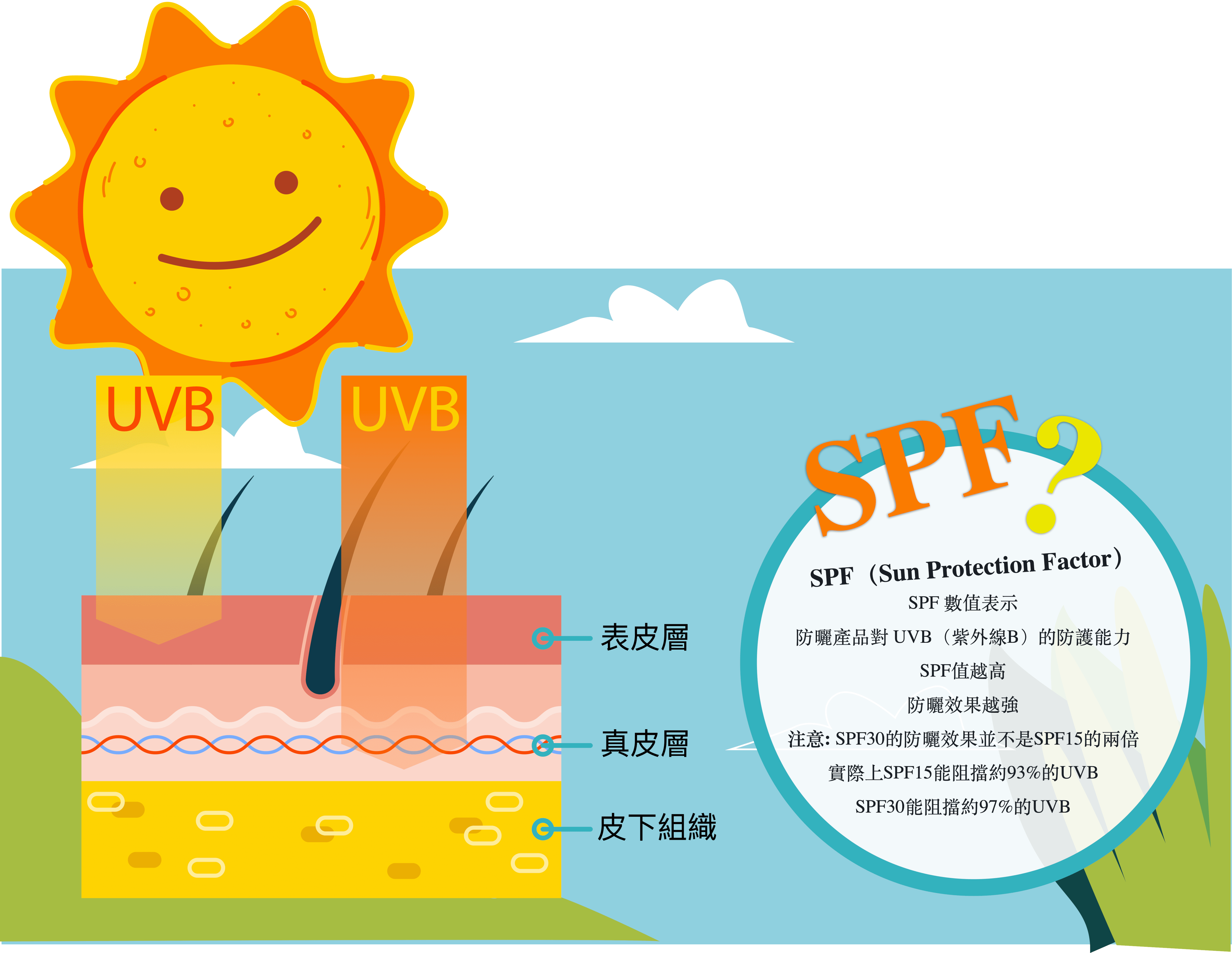 SPF Sun Protection Factor