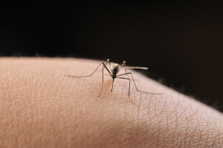 防蚊全攻略：香港防蚊方法、成分選擇與安全使用指南