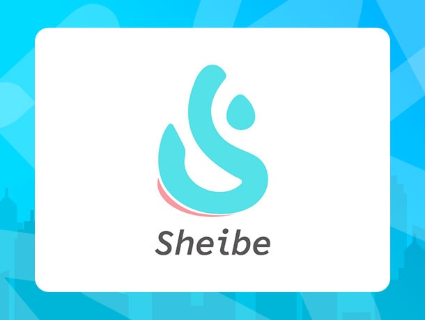 610X460_SSD_SHEIBE_logo.jpg